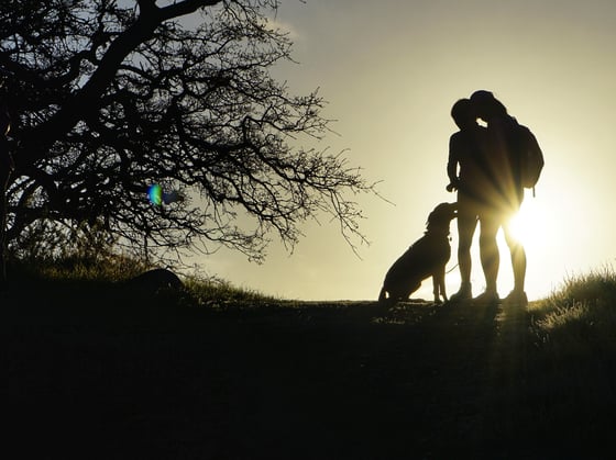 Photo of two hikers and a dog silhoutted and backlit by morning sun.