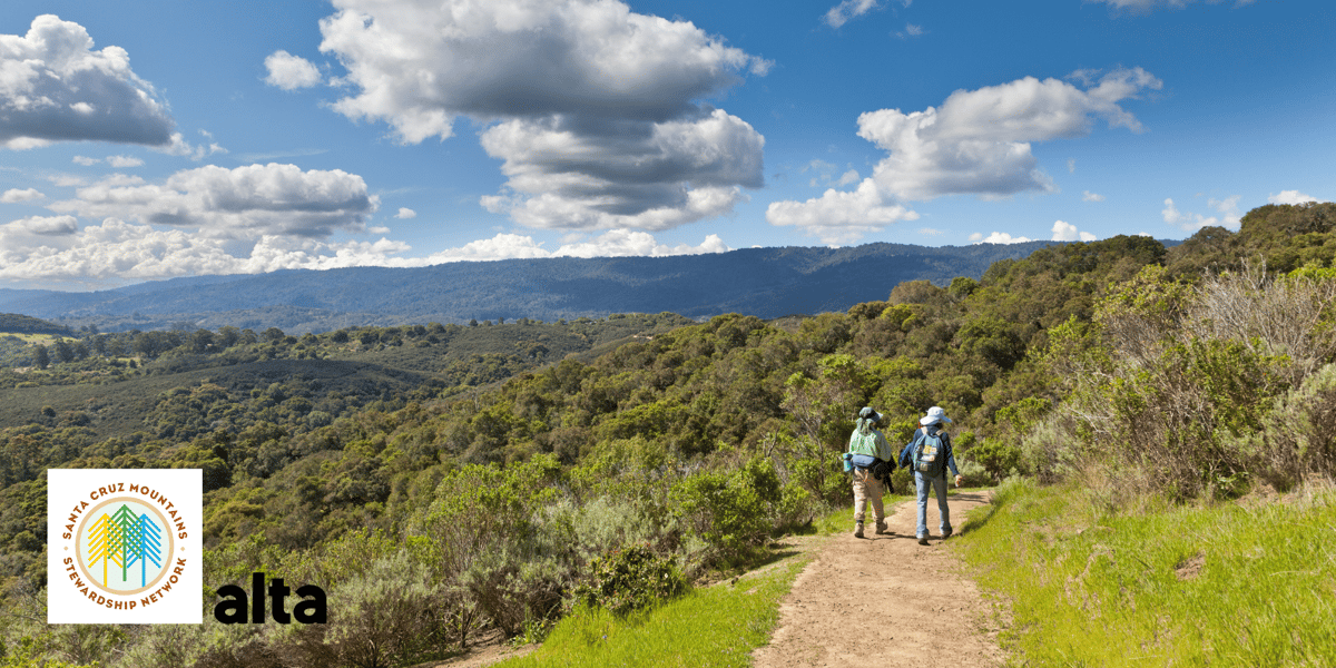 Trail Users in Pulgas Ridge Open Space Preserve