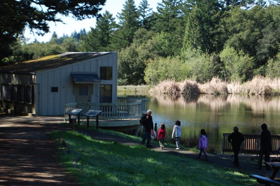 Children walking to the Daniels Nature Center