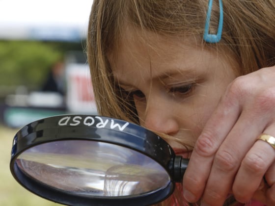 Closeup photo of a young girl looking through a magnifying glass.