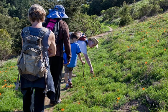 Group of hikers in Russian Ridge Open Space Preserve
