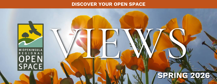 Views header photo with poppies in the background and text that says "Discover your open space - Views Spring 2026"