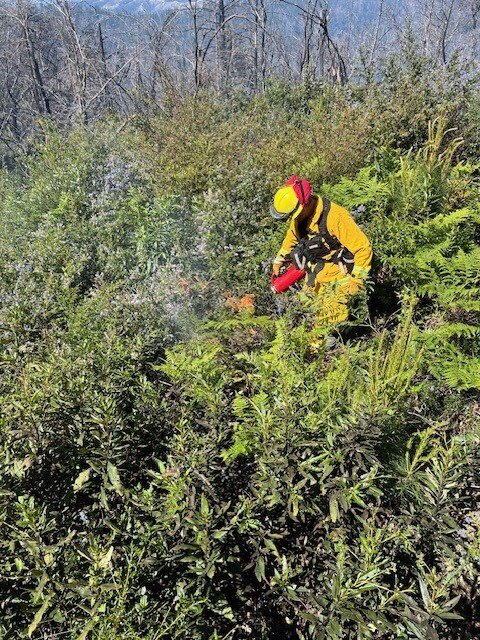 State parks burn spring 2024