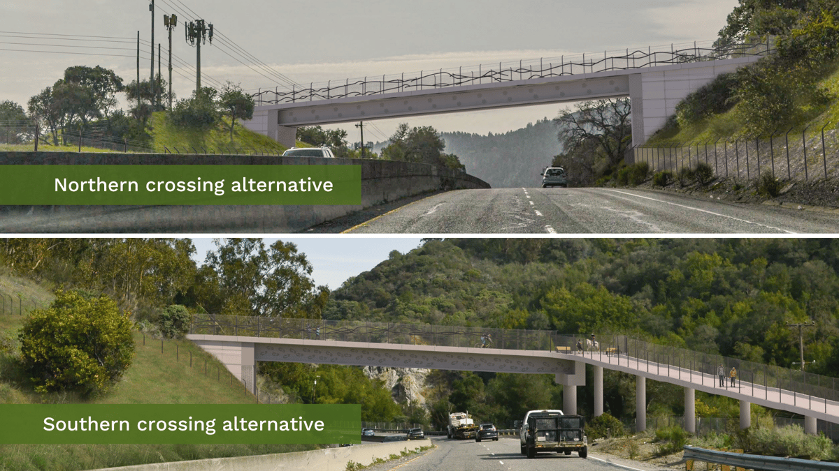 Rendering of northern and southern trail overcrossing Highway 17.