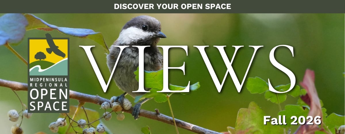 Views masthead fall 2026