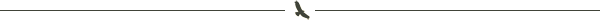 divider