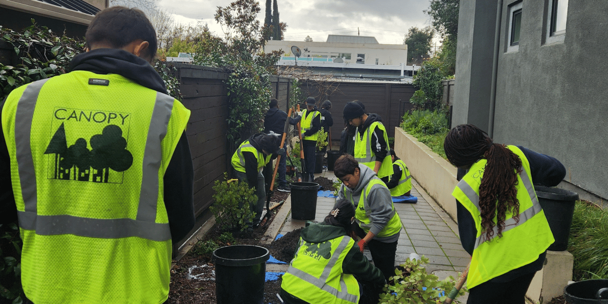 Group of teens planting trees in their community