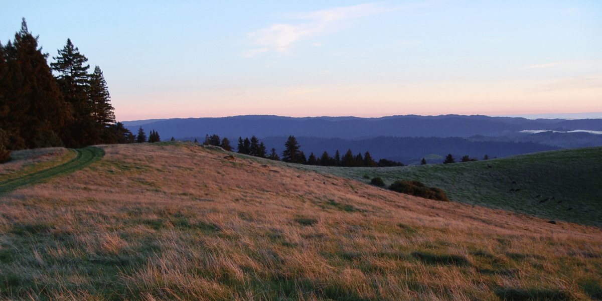 Sunset over a meadow at La Honda Creek Preserve