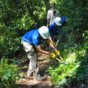 Students use clippers to trim back overgrown vegetation along a trail.